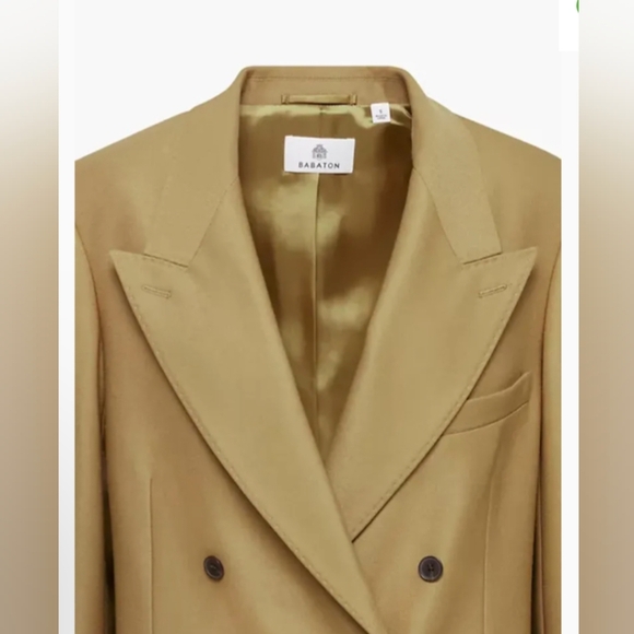 Babaton Highland Blazer in Caramelo Tan Size Large NWT - Picture 6 of 14